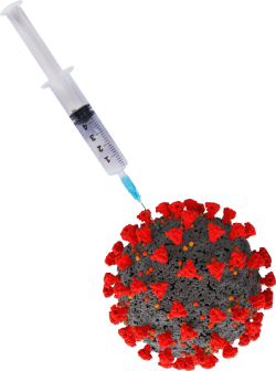 Teaching the Immune System